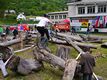 tn-Image00161.jpg