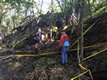 tn-IMG_5252.jpg