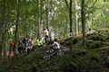 tn-IMG_8288.jpg